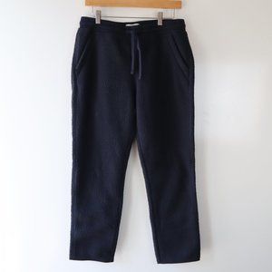 EUC Everlane Renew Fleece Drawstring Pants